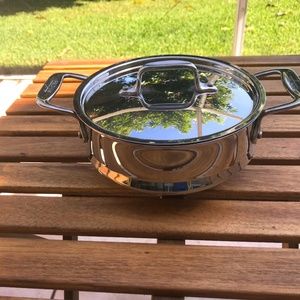 All-Clad Stainless Steel steamer with Lid